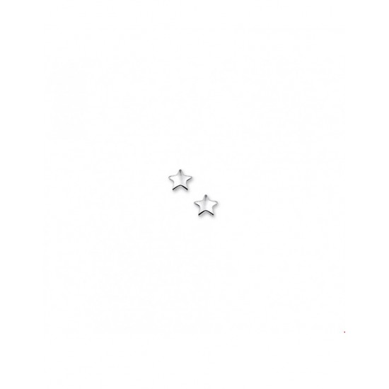 Zilveren oorknoppen ster ( 1323174 ) - 10027674