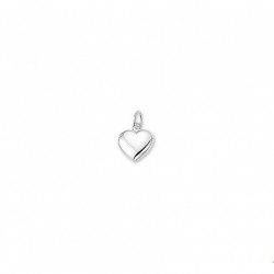 zilveren hanger hart - 10032296