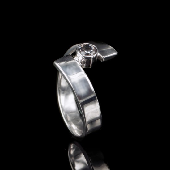 Impona zilveren AS ring 1101-10 met schroef maat 17½ - 10026871